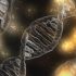 Emerging Gene-Targeting Therapies for SOD1-ALS