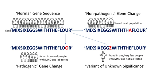 Graphical explanation of types of genetic changes in sequences mentioned (non-pathogenic, pathogenic, variance of unknown significance).