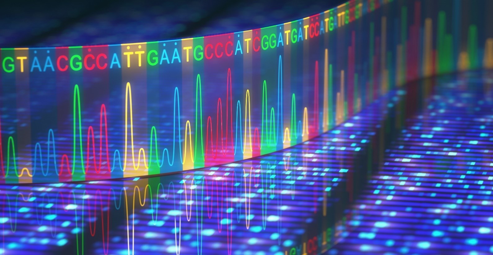 New insights into MND: 5 more genetic variants found - MND Research Blog