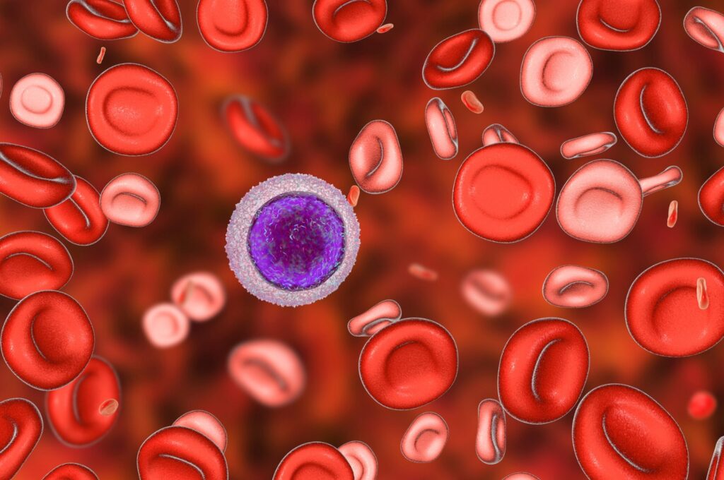 A lymphocyte cell surrounded by red blood cells.