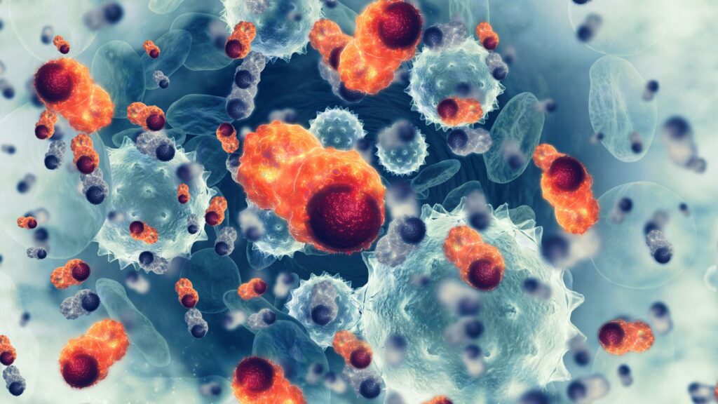 Immune cells