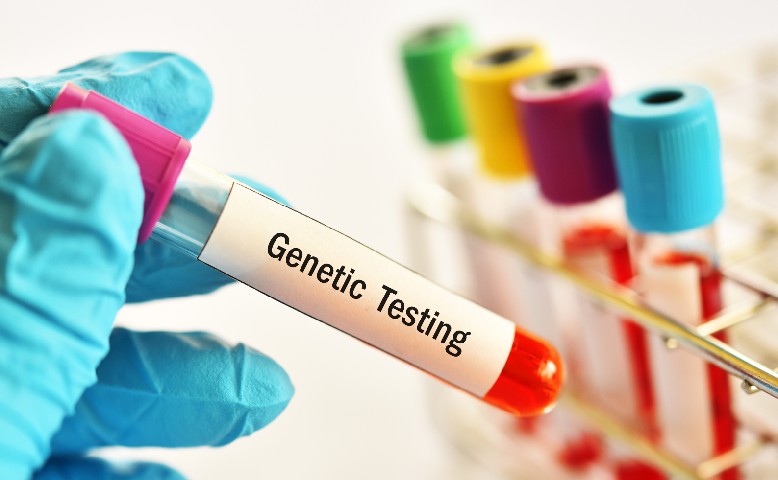 Blood samples in tubes with a genetic testing label