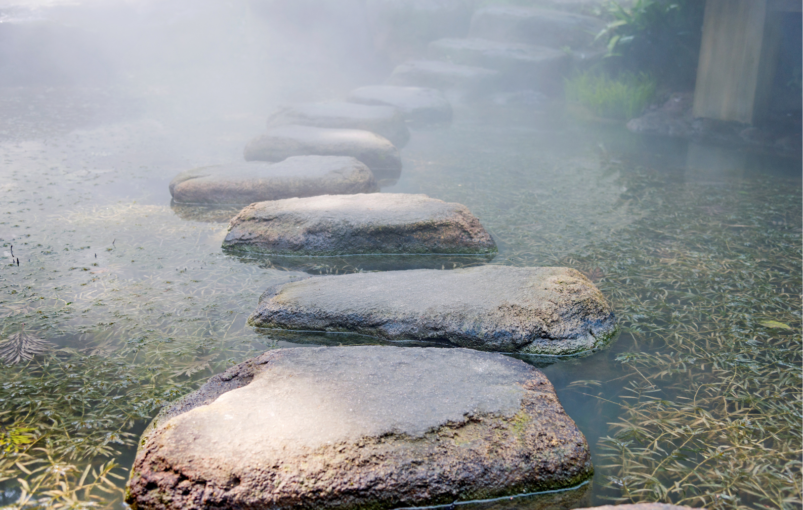 Stepping Stones in a river
