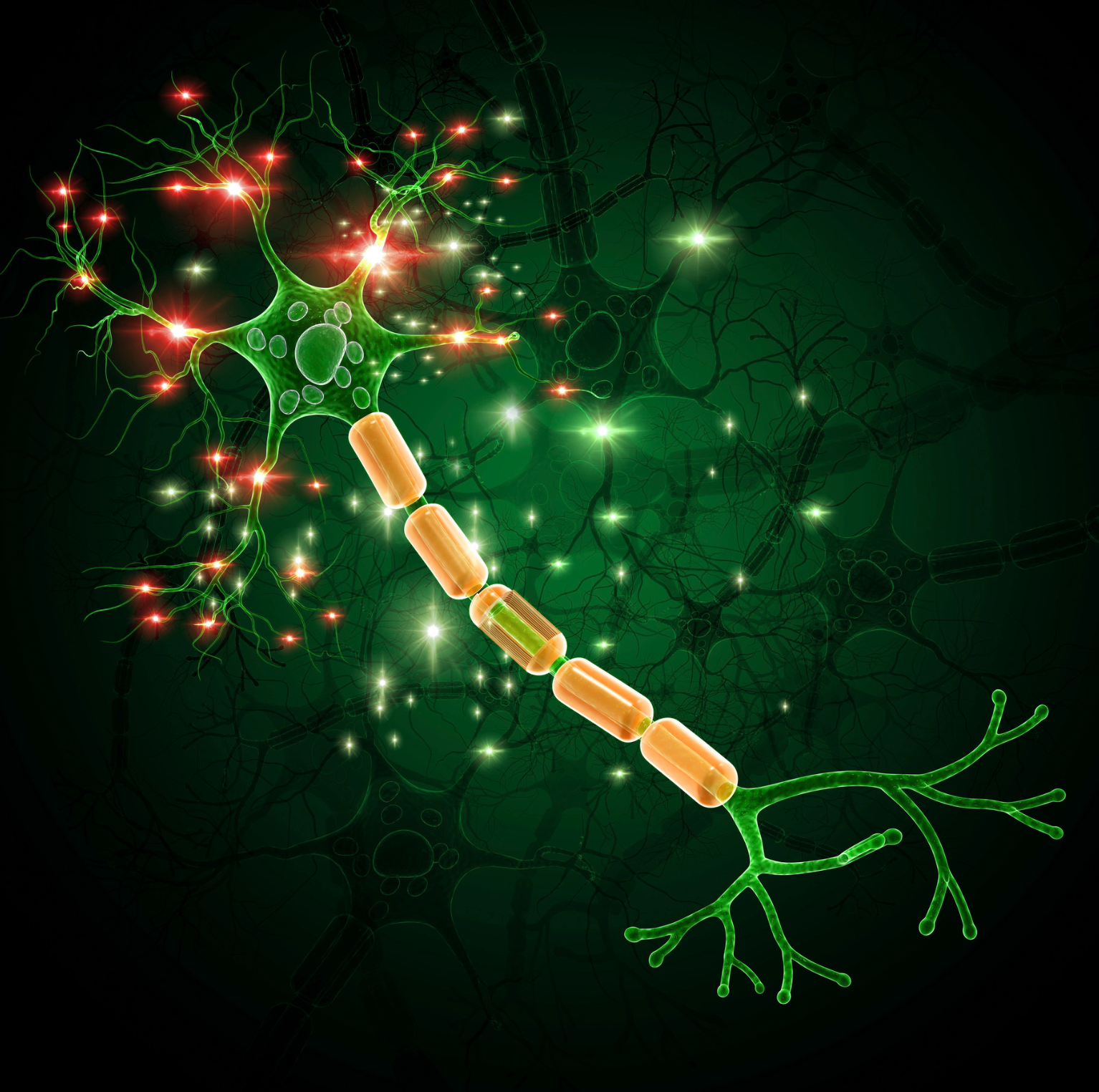 A motor neuron with other cells around it in the background