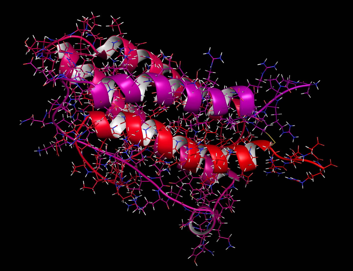 A picture of two spiral proteins