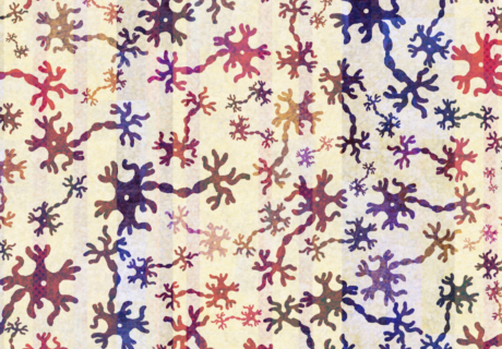 A picture of lots of different coloured cartoon neurons