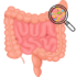 Exploring the Gut Microbiome’s Influence on MND