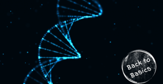 What is DNA and how is it involved in MND?