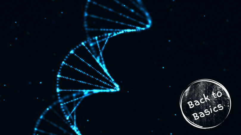 What is DNA and how is it involved in MND?