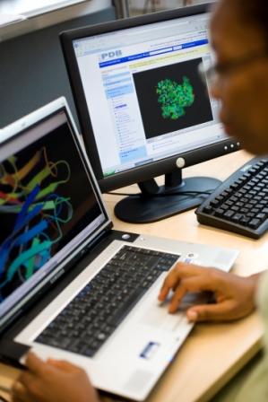 Researcher looking at proteins on computer screens