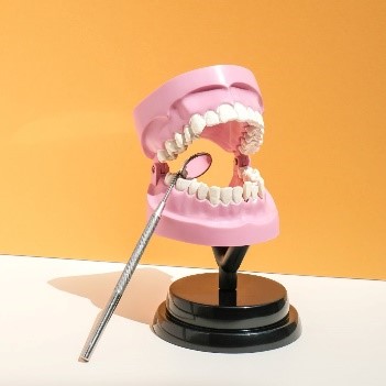 Mouth model on a stand with a dentistry tool.