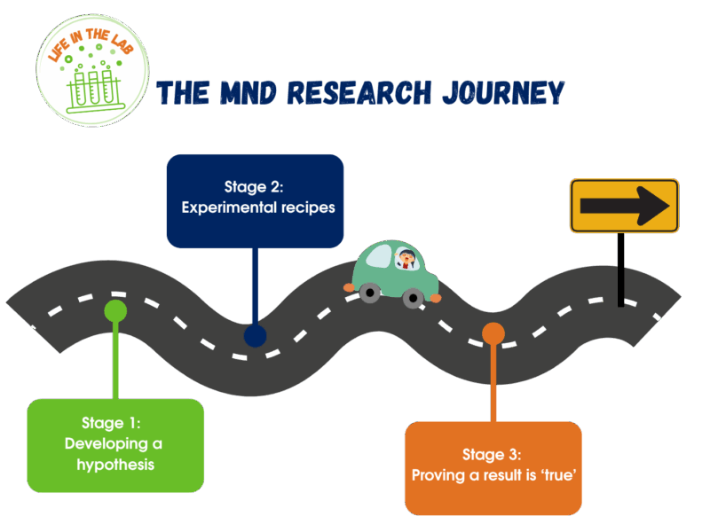 The MND Research Journey