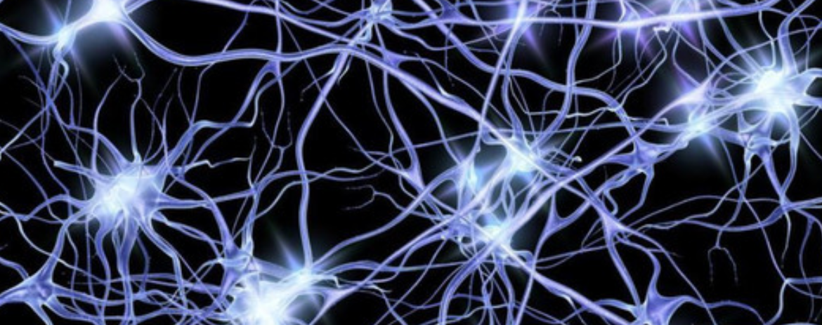 Image of active firing neurones.