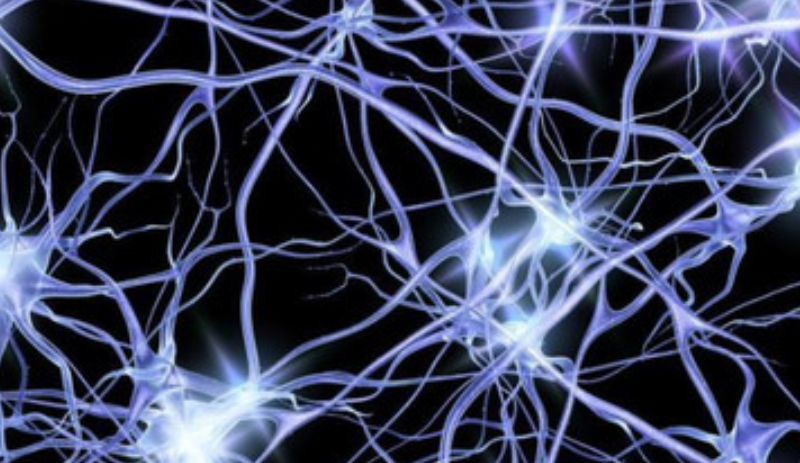 Image of active firing neurones.