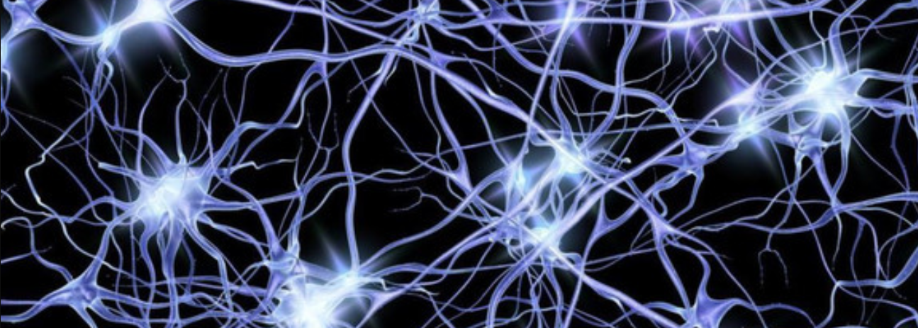 Image of active firing neurones.